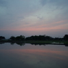 2016/05/01_水田の夕暮れ