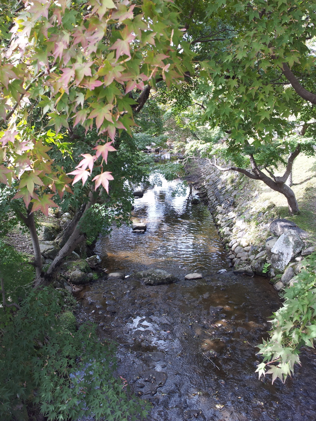 2016/10/18_奈良公園 吉城川