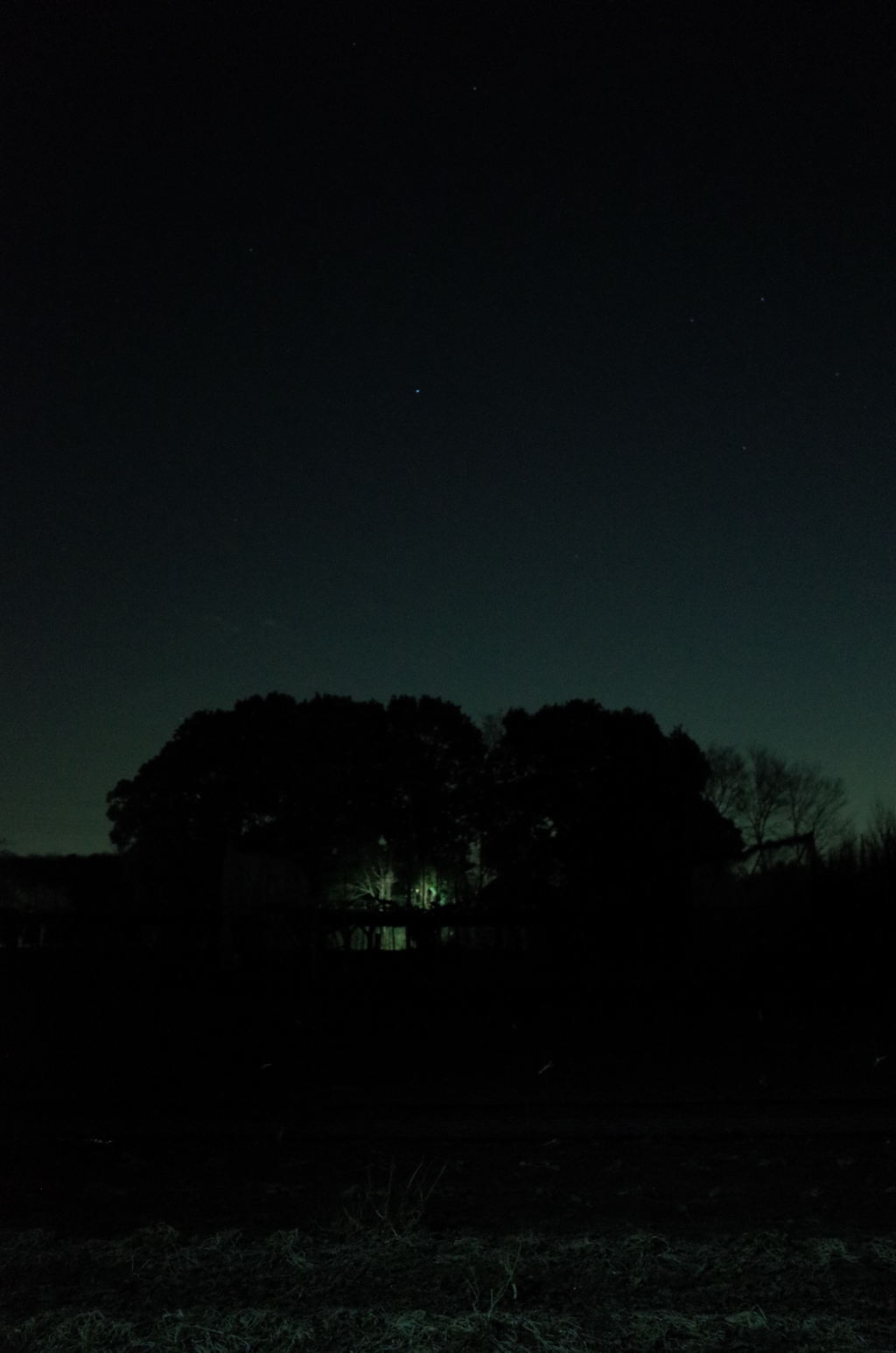 2015/01/24_夜の仄灯り