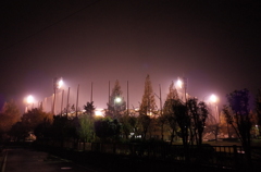2014/11/24_夜の上平公園