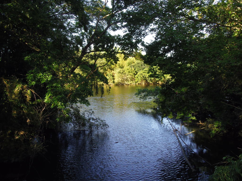 2016/08/07_荒川支流