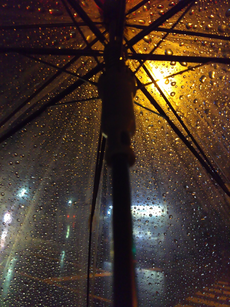 2016/08/27_夜、雨傘の下
