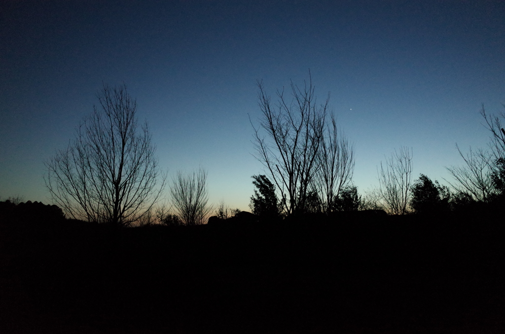 2015/02/15_夕暮れの秋葉の森総合公園