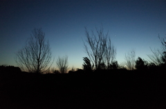 2015/02/15_夕暮れの秋葉の森総合公園