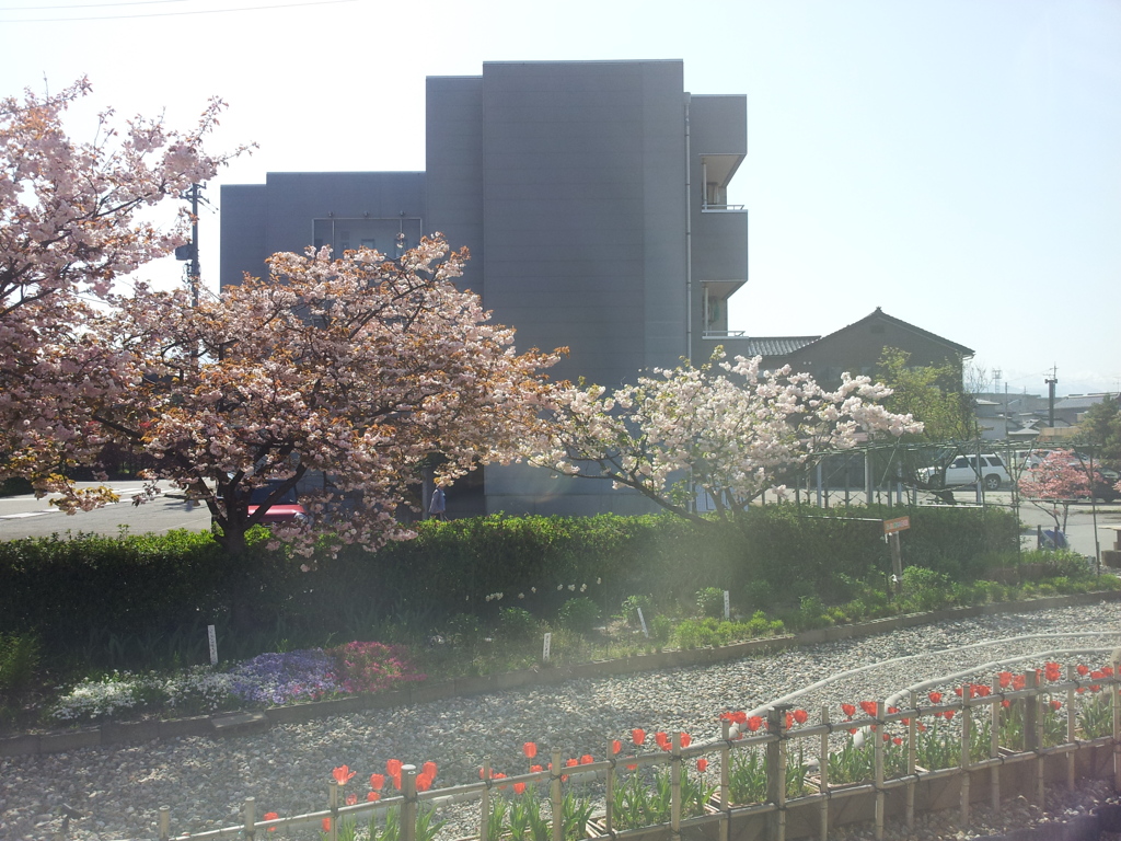 2018/04/21_富山地鉄からの車窓風景