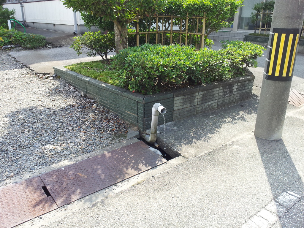 2017/08/11_湧き水?
