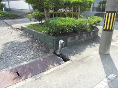 2017/08/11_湧き水?