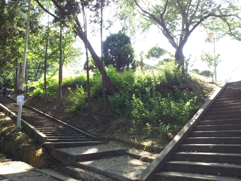 2017/06/18_月明公園