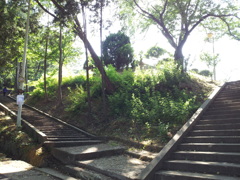 2017/06/18_月明公園