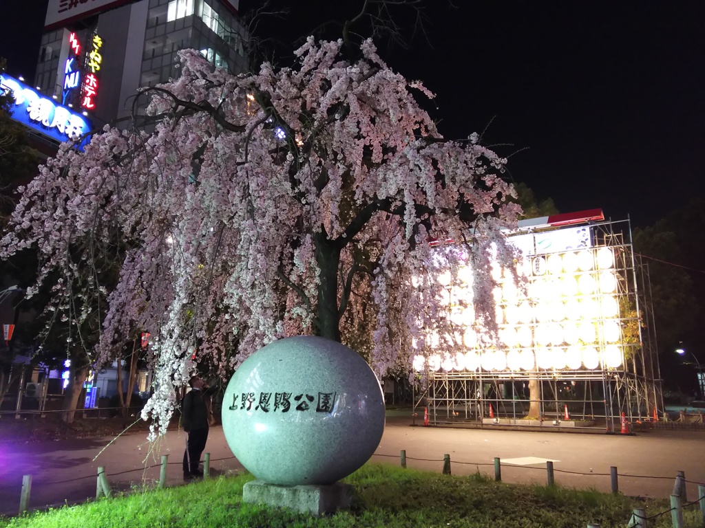 2017/04/03_上野公園の夜桜