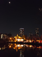 2017/04/03_夜の上野公園（没カット）