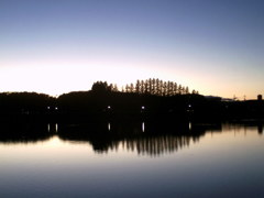 2015/11/15_伊佐沼の夕暮れ