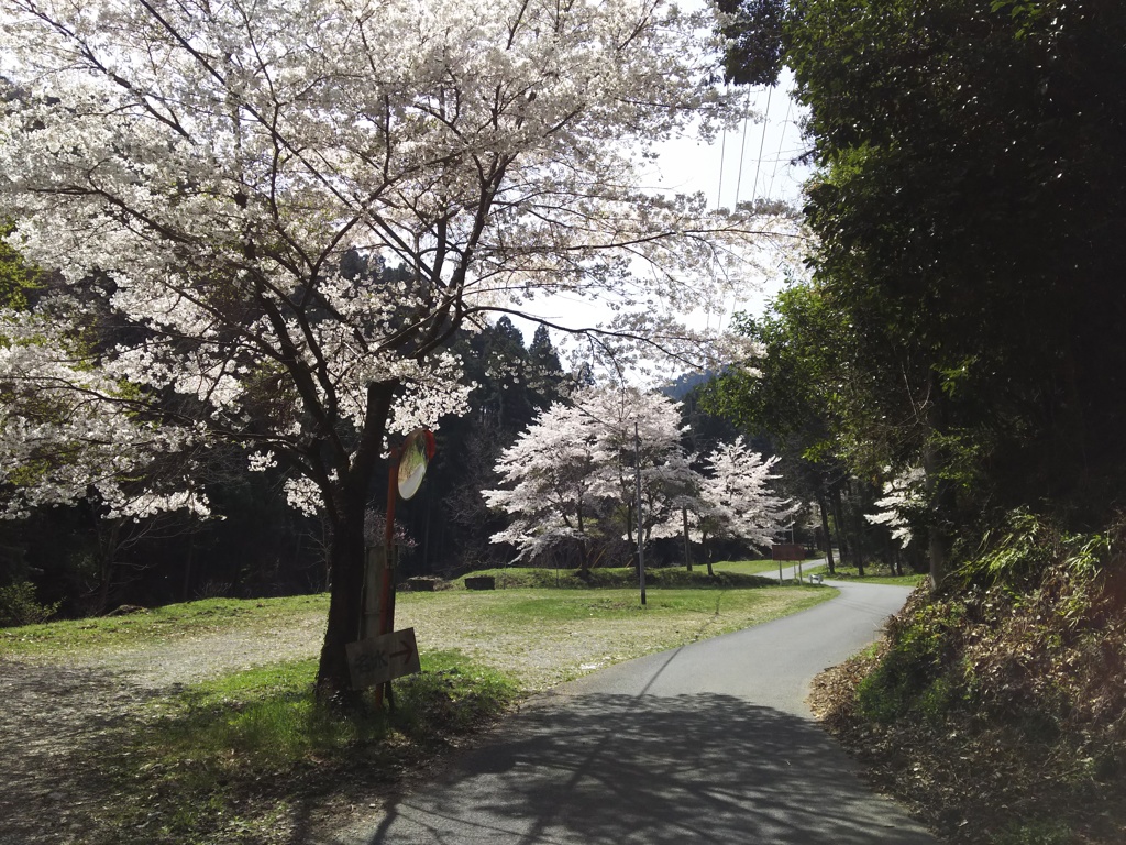 2018/04/01_春の外秩父