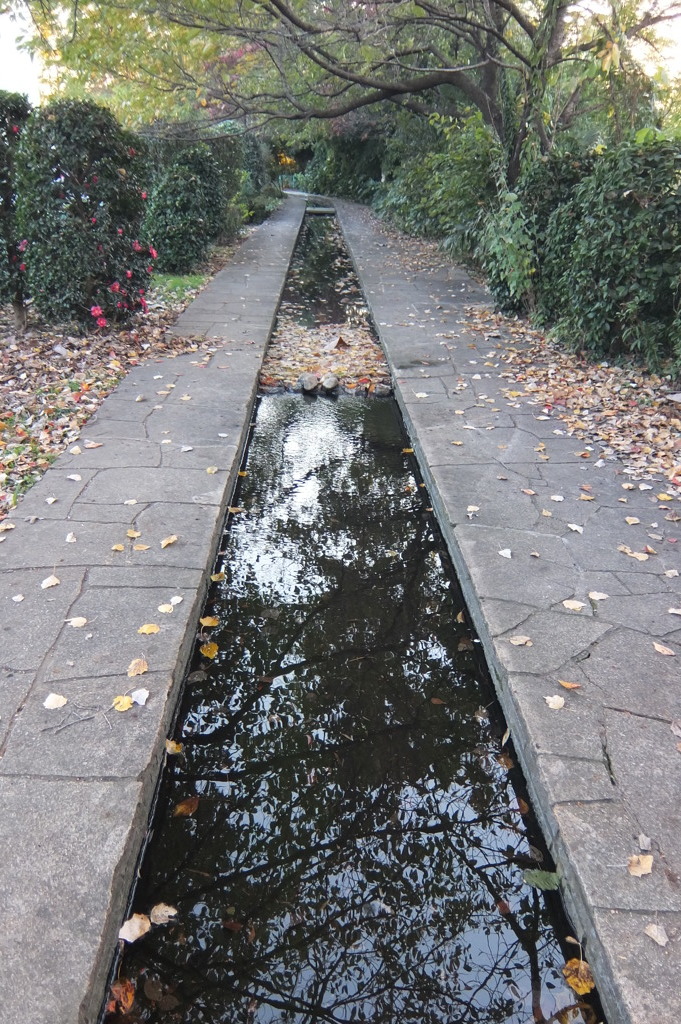 2014/11/15_鴨川みずべの里