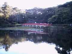 2015/11/03_岩槻城址公園