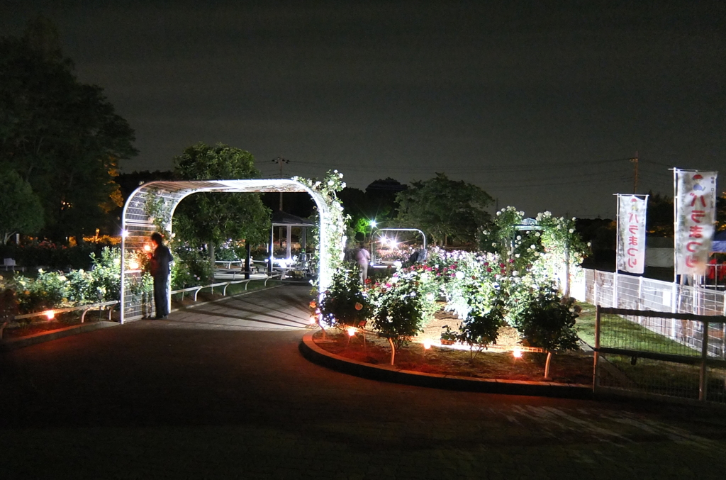 2014/05/18_夜の伊奈バラ園