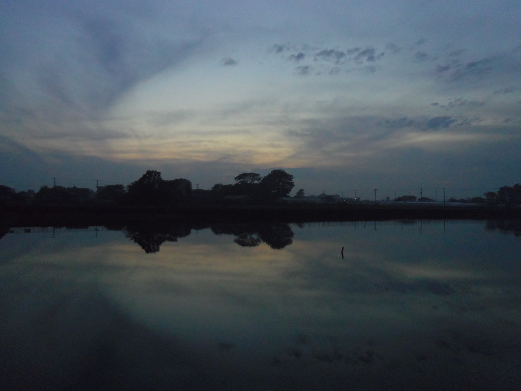 2016/11/20_溜め池の夕暮れ