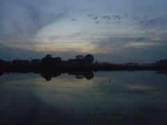 2016/11/20_溜め池の夕暮れ