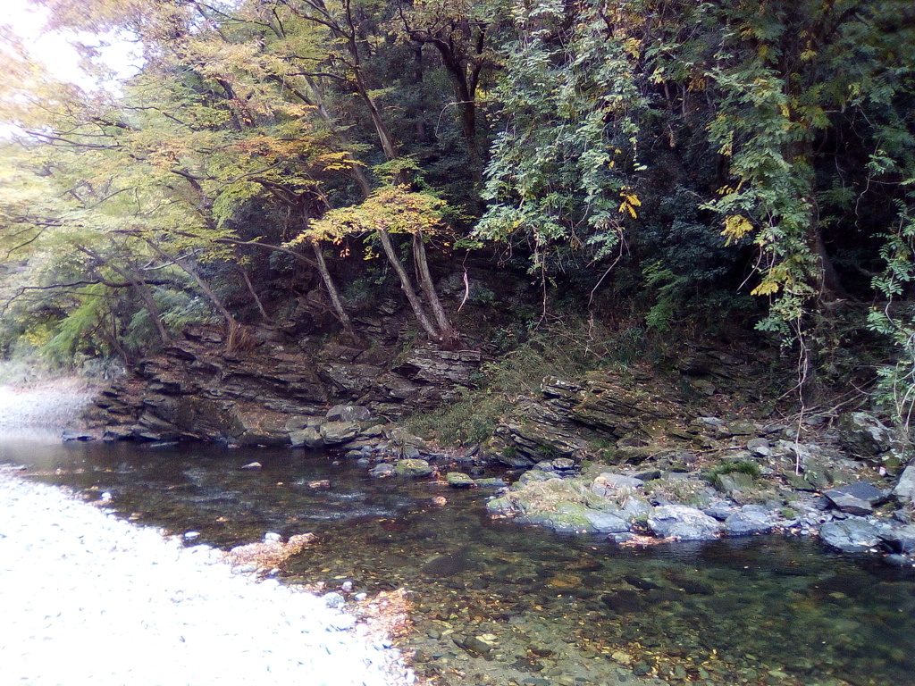 2018/11/18_槻川と嵐山渓谷