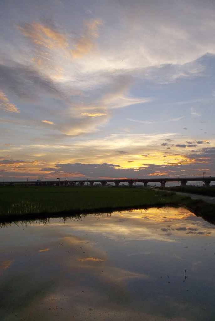 2015/07/19_水田の夕暮れ