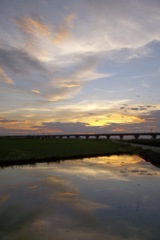 2015/07/19_水田の夕暮れ