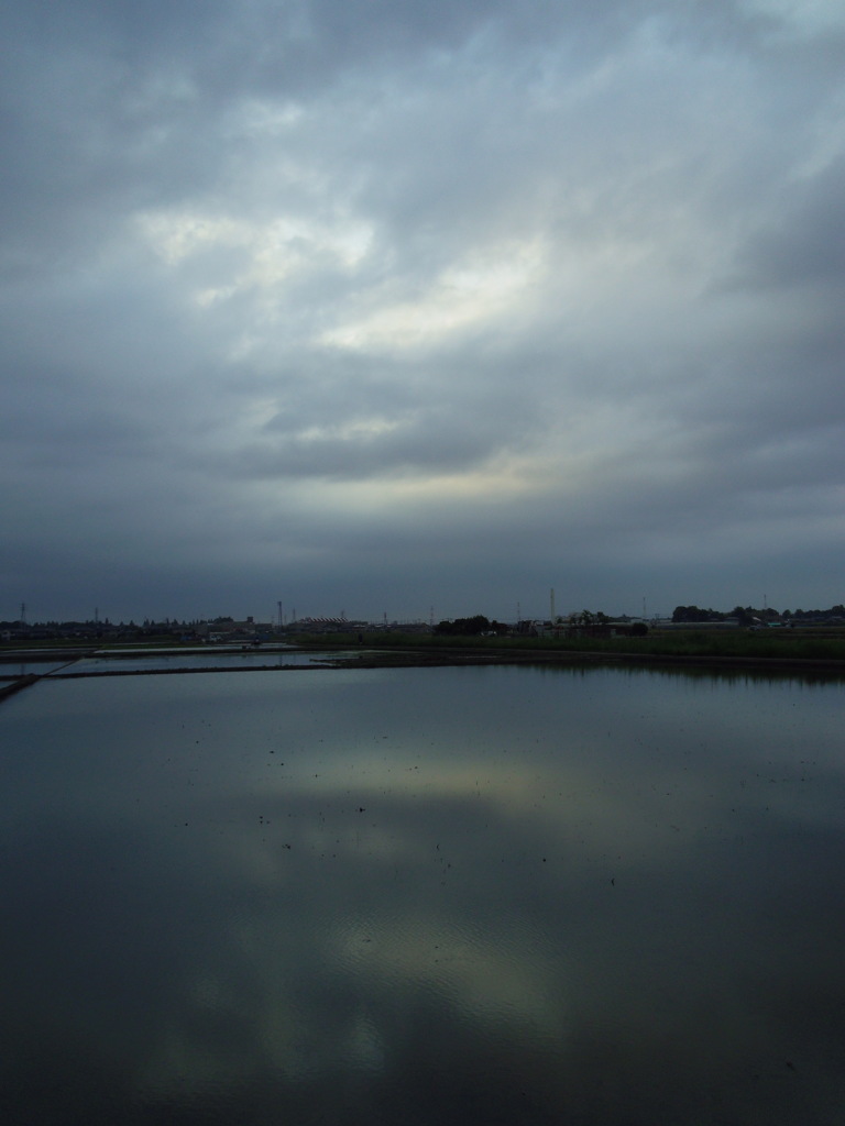 2017/05/27_水田の曇天