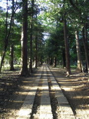 2017/05/04_神明神社参道