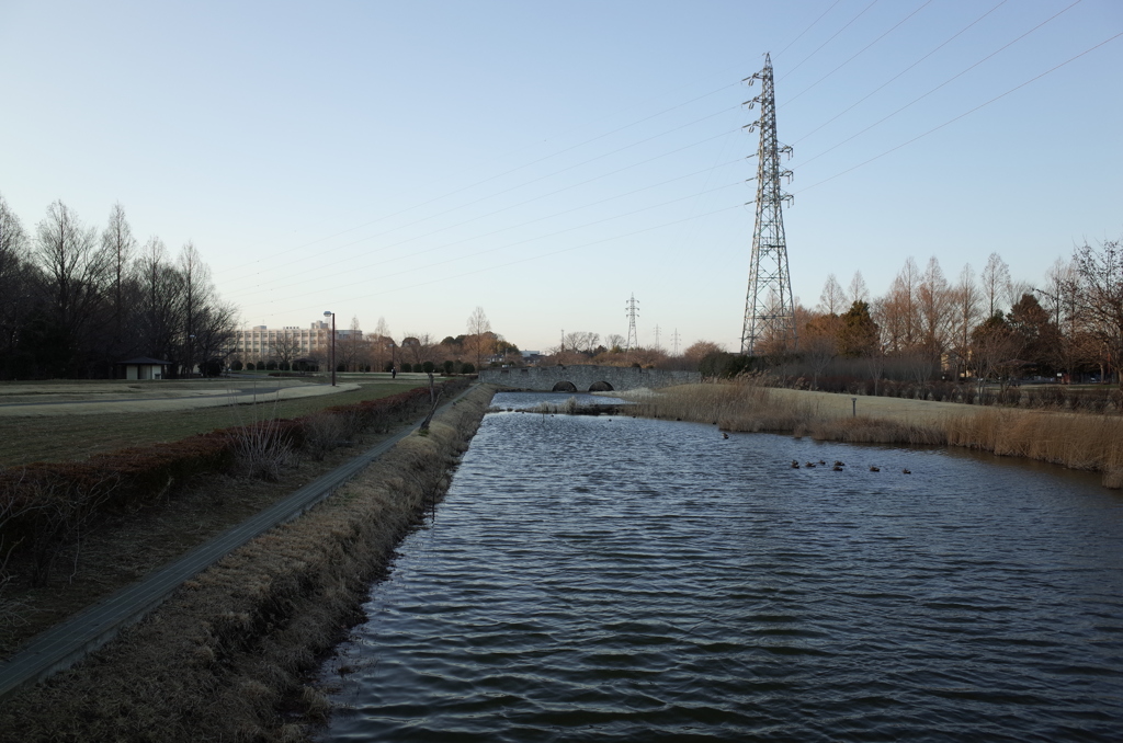 2015/02/15_花の丘農林公苑