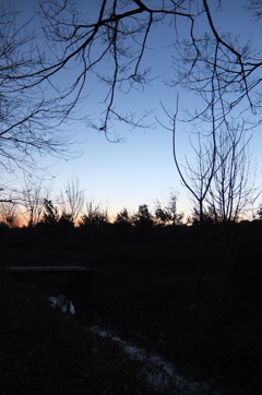 2015/02/15_夕暮れの秋葉の森総合公園