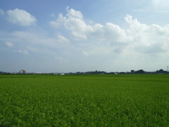 2017/08/05_田園