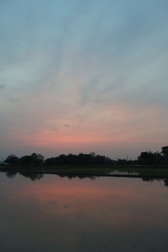 2016/05/01_水田の夕暮れ