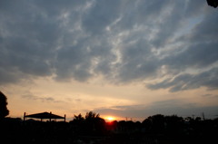 2014/10/12_伊奈バラ園の夕暮れ
