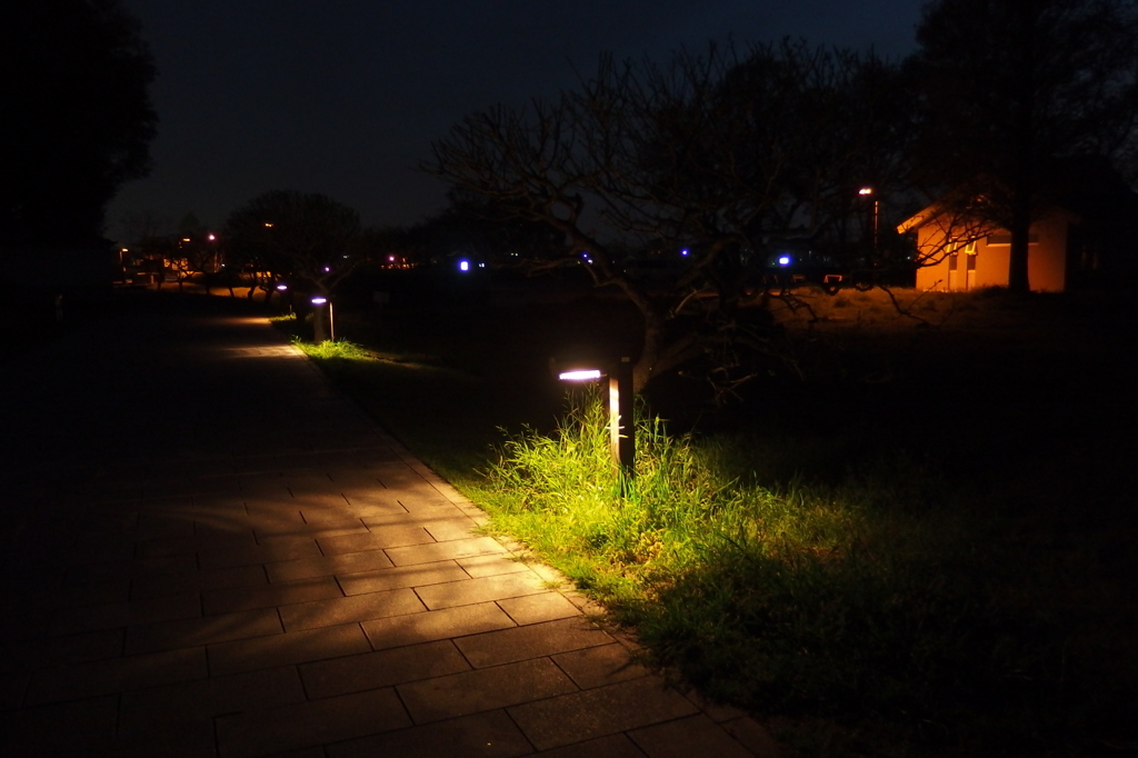 2015/04/18_夕暮れのさきたま古墳公園