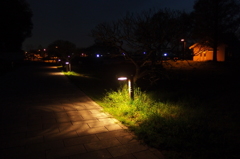 2015/04/18_夕暮れのさきたま古墳公園