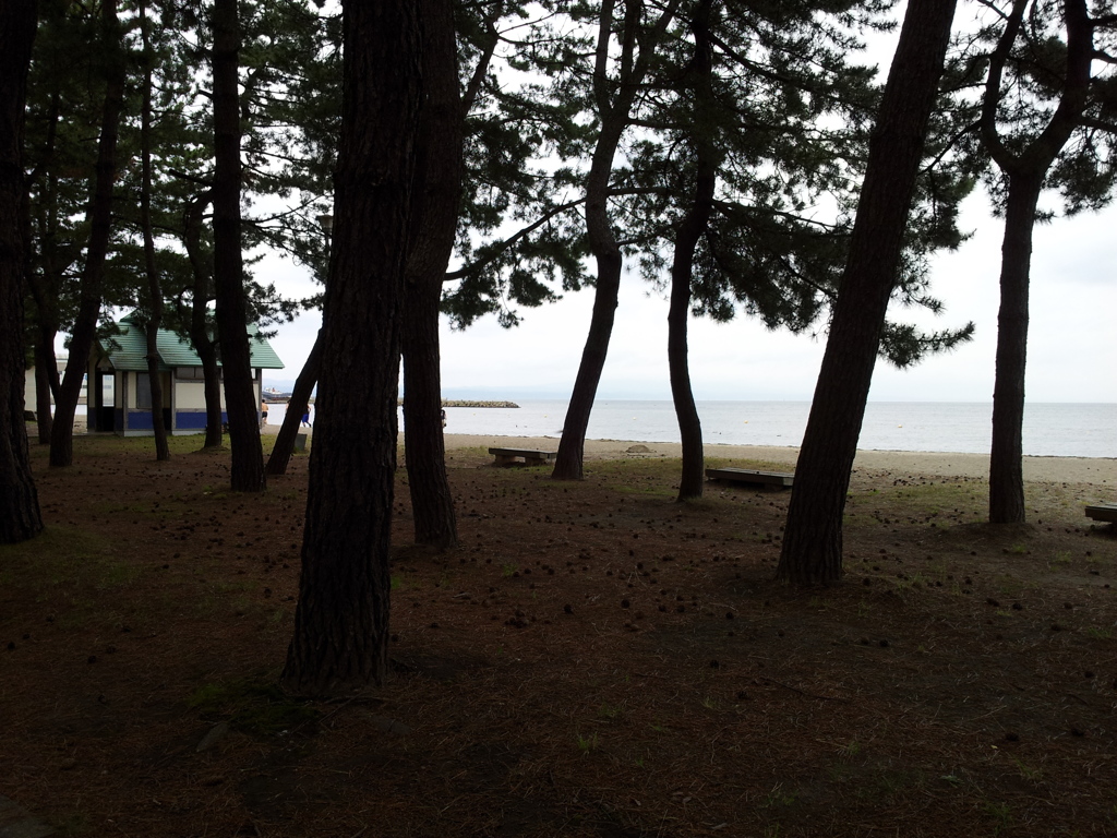 2018/07/16_合浦公園 海水浴場