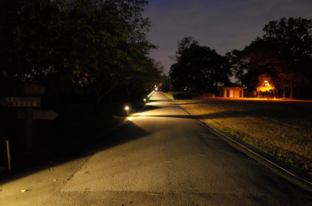2014/10/19_夜のさきたま古墳公園