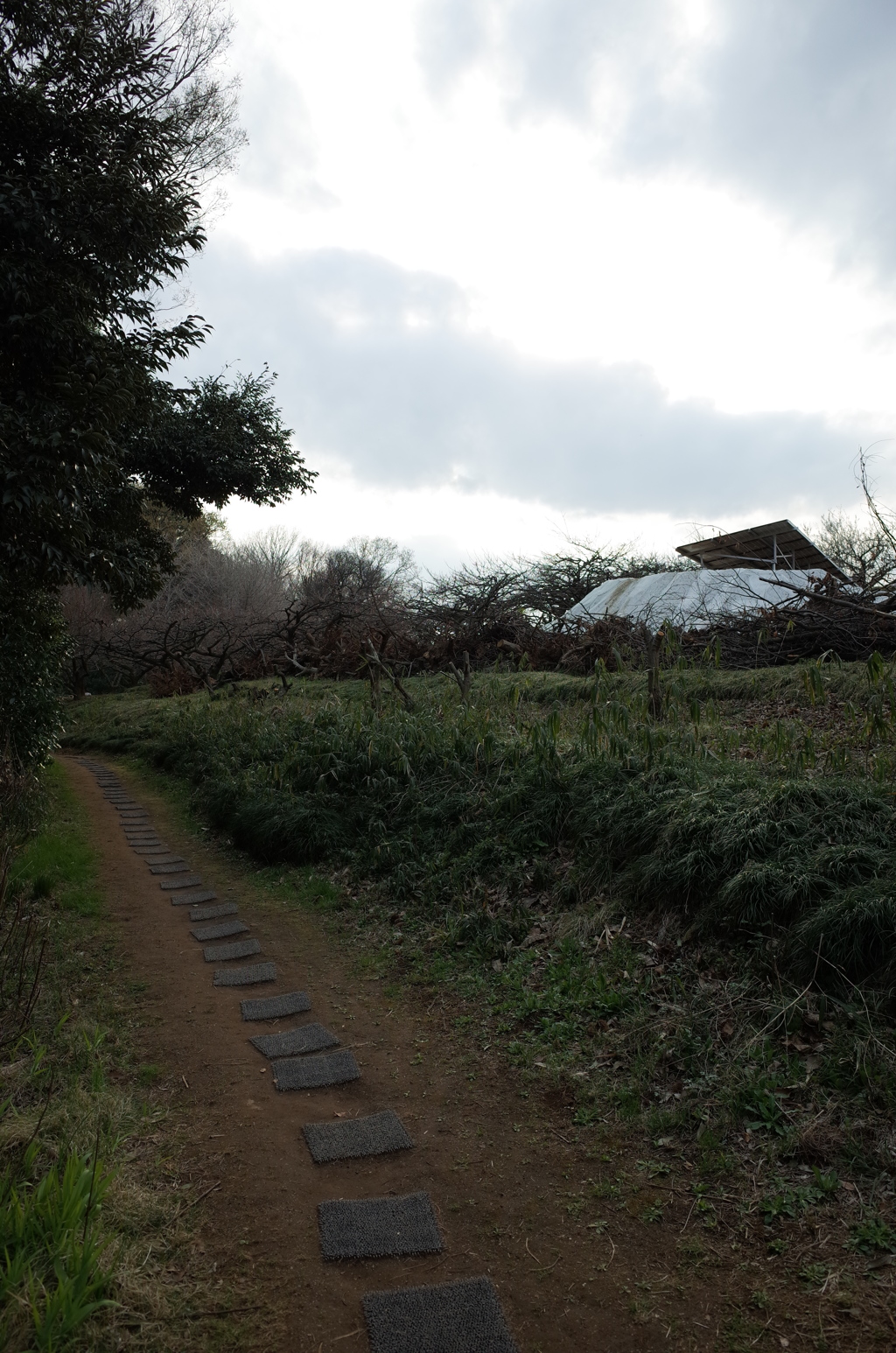 2016/03/27_北本自然観察公園