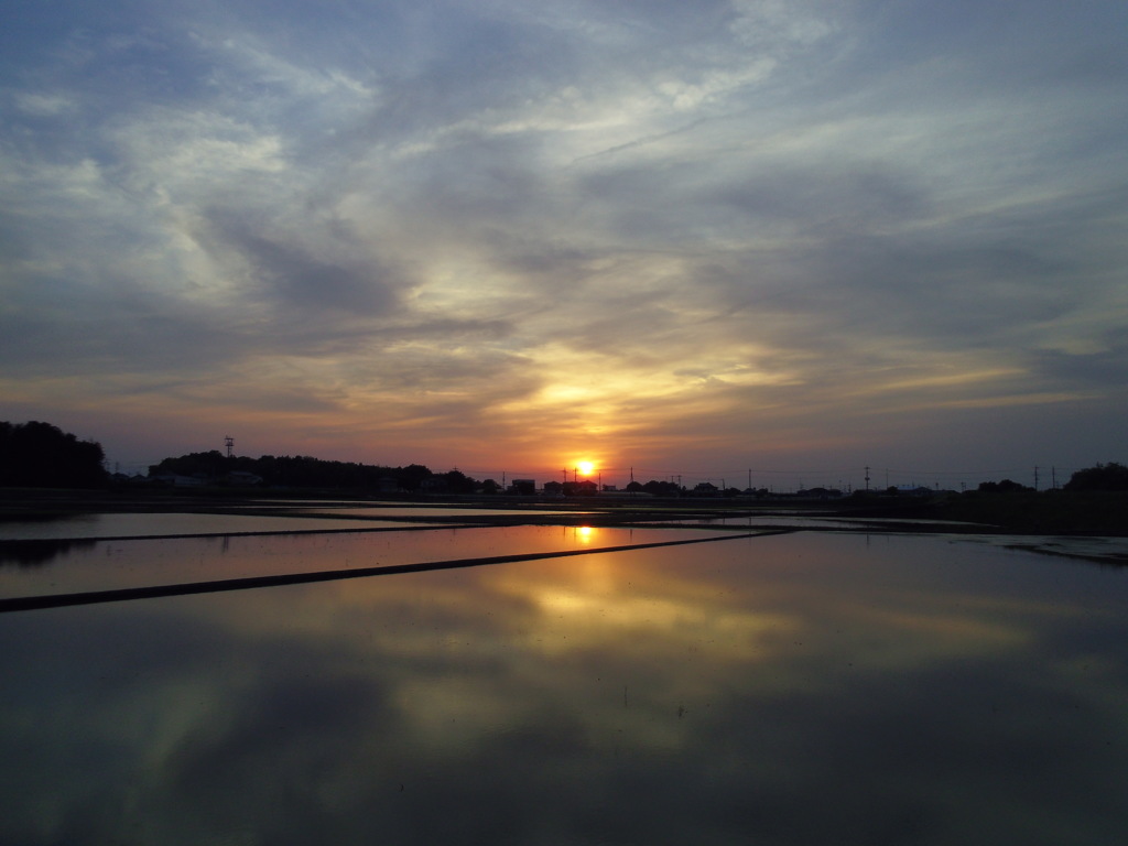 2017/05/21_水田の夕暮れ