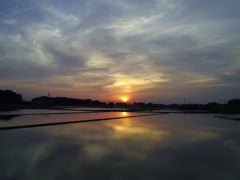 2017/05/21_水田の夕暮れ