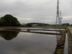 2017/05/27_水田の曇天