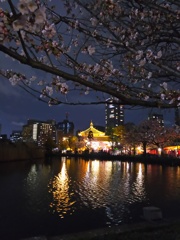 2017/04/06_夜の上野公園