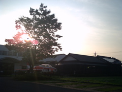 2015/07/12_夕暮れのさきたまガーデン
