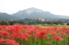 2015/09/21_寺坂棚田の彼岸花と武甲山