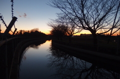 2015/12/26_見沼代用水の夕暮れ