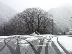 2016/12/10_やまびこ展望台