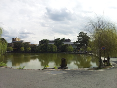 2016/10/18_奈良公園 猿沢池と衣掛柳の碑