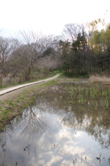 2016/03/26_北本自然観察公園