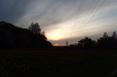 2016/04/09_花の丘農林公苑の夕暮れ