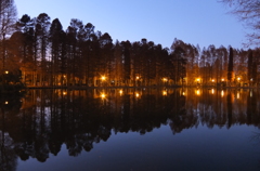 2014/12/14_夕暮れの別所沼公園