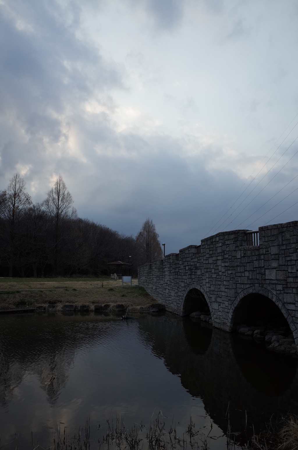 2016/02/28_花の丘農林公苑